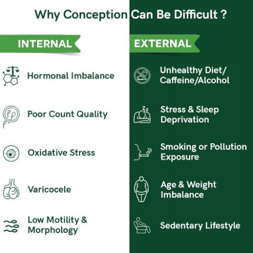Teacurry Men Fertility Tea Internal vs External Benefits