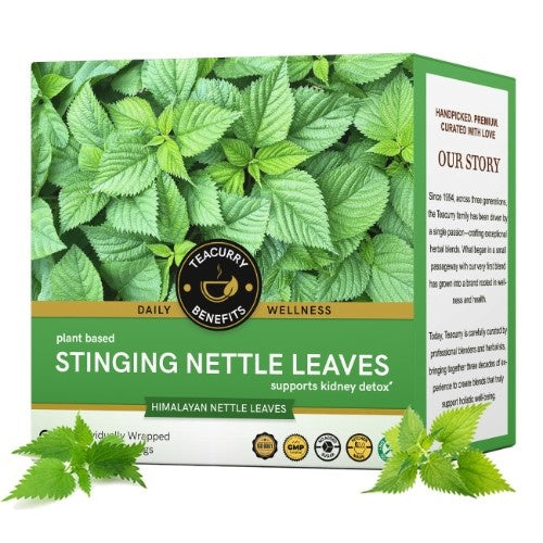 Teacurry Stinging Nettle Tea Main Image
