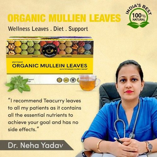 Organic Mullein Tea Doctor Recommends 