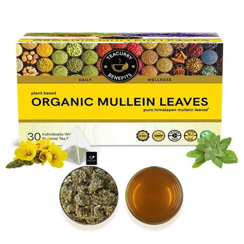 Teacurry Organic Mullein Tea Main Image 