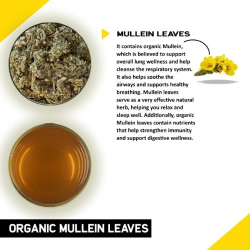 Organic Mullein Tea Ingredients  
