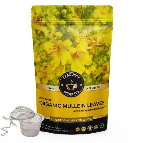 Organic Mullein Tea Pouch + Infuser 