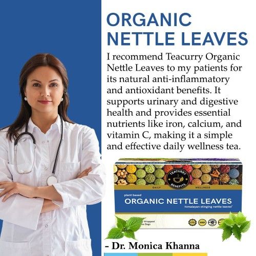 Teacurry Organic Nettle Tea Doctor Recommends