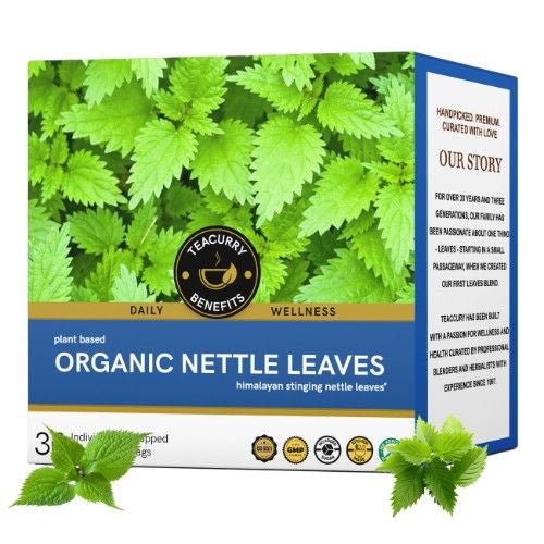 Teacurry Organic Nettle Tea 3D Box