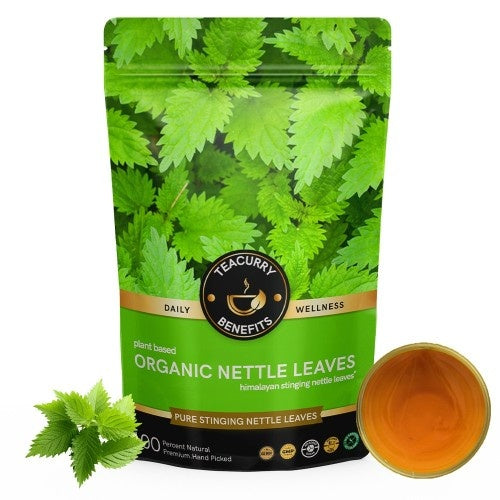 Teacurry Organic Nettle Tea Pouch
