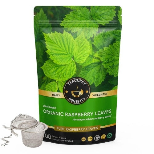 Organic Raspberry Tea Pouch = Infuser 