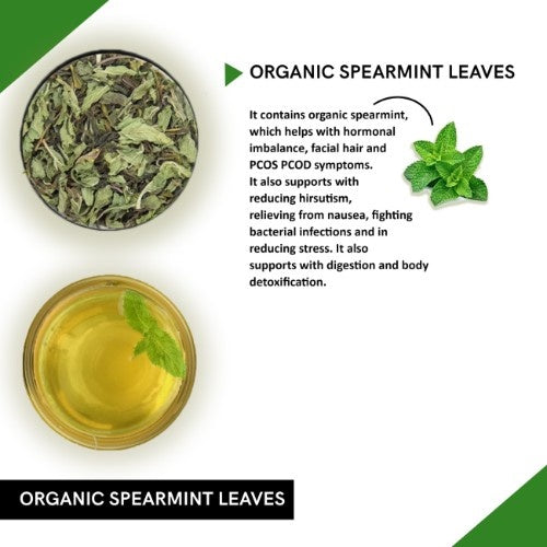 Teacurry Organic Spearmint Tea Ingredients