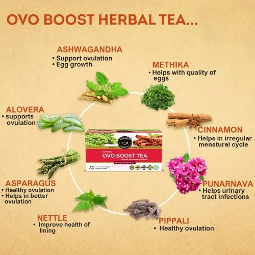 Teacurry Ovo Boost Tea Ingredients