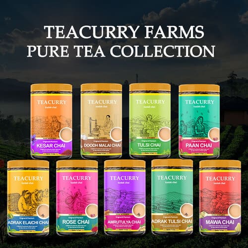 Teacurry flavour tea combo