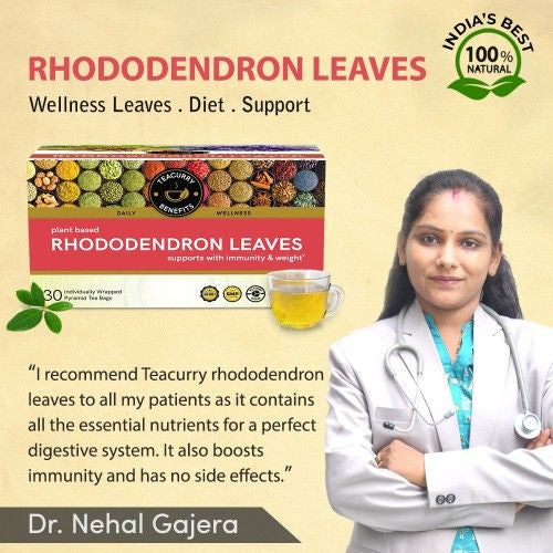 Rhododendron Leaves Tea Doctor Recommends 