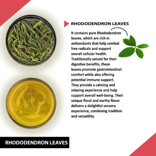 Rhododendron Leaves Tea Ingredients 