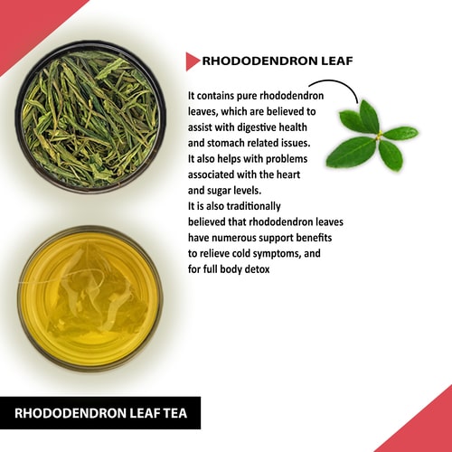 Teacurry Rhododendron Leaf Tea - consist of pure Teacurry Rhododendron Leaf 