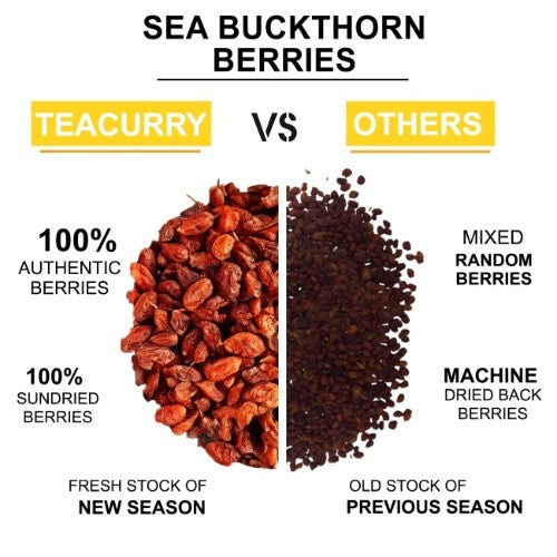 Teacurry Sea Buckthorn Berries Difference
