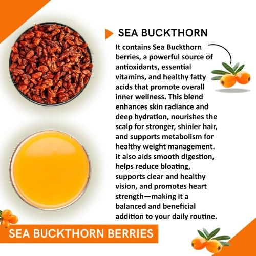 Teacurry Sea Buckthorn Berries