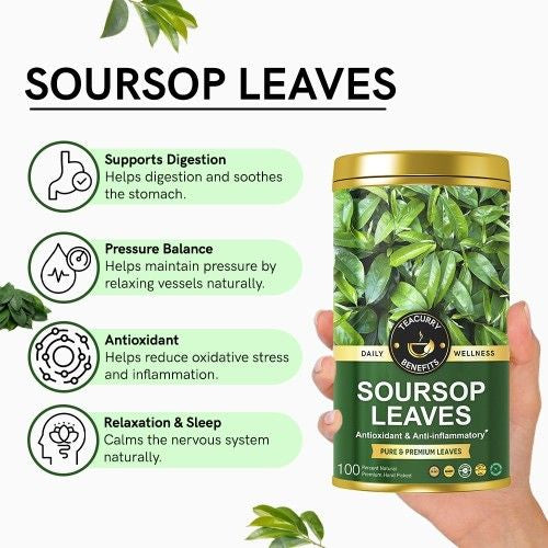 Teacurry Soursop Leaves Benefits