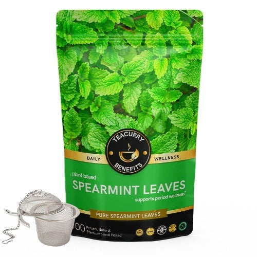 Teacurry Spearmint Leaf Tea Pouch with Infuser 