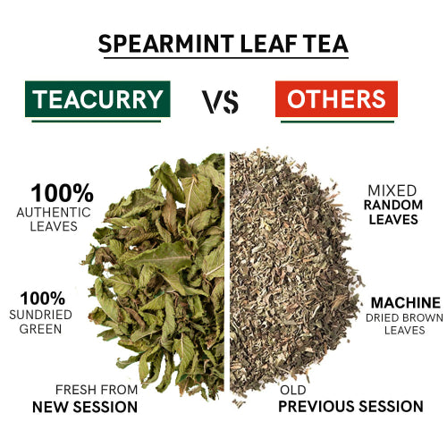 Teacurry vs Others Teacurry Spearmint Leaf Tea