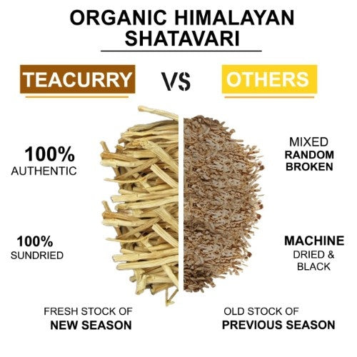 Teacurry Organic Himalayan Shatavari Roots Difference 