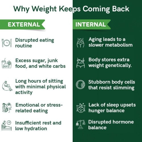 Teacurry Slimming Tea External vs Internal