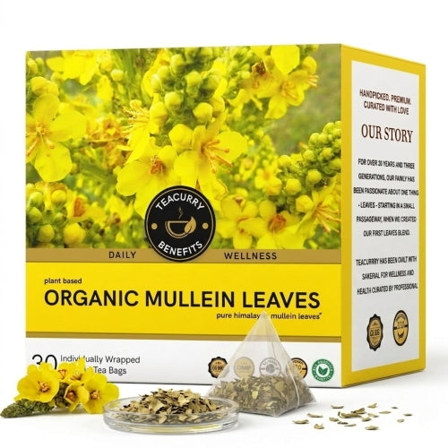 Teacurry Mullein Leaves Tea Main Image