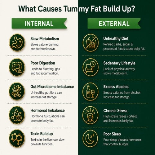 Internal and External Causes of Tummy Fat Build Up Explain by Teacurry 