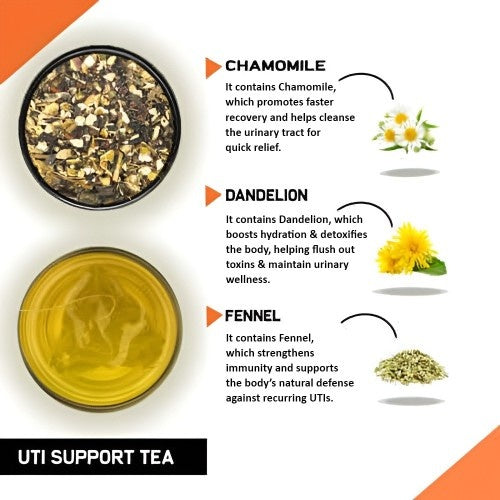 Teacurry UTI Support Tea Ingredients