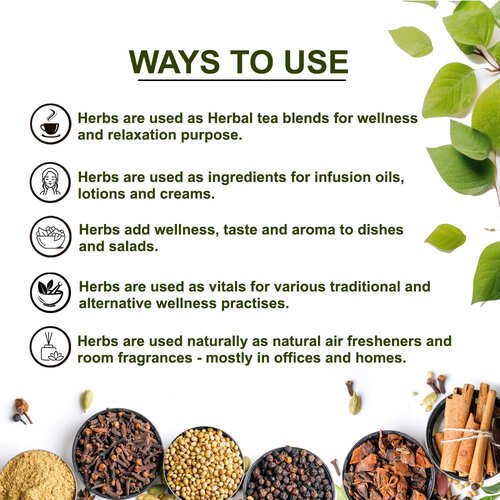 Teacurry Milk Thistle Seeds - Ways to Use  - milk thistle seed tea