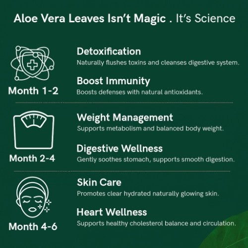 Teacurry Organic Himalayan Aloe Vera Leaves Benefits