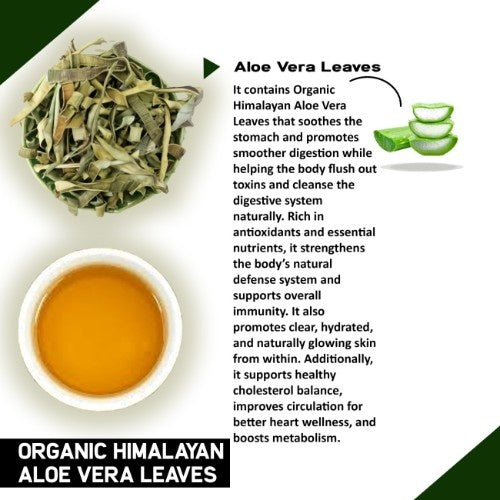 Organic Himalayan Aloe Vera Leaves- Natural Herb for Glowing Skin, Detox,  Boost Immunity, Digestion & Heart Wellness