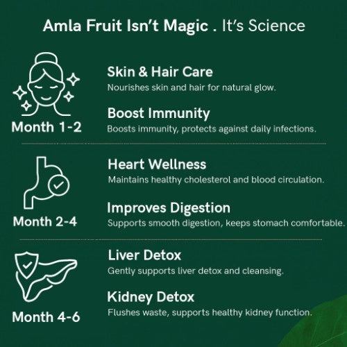 Teacurry Organic Himalayan Amla Fruit Benefits