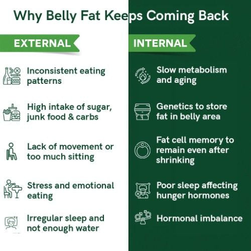 Teacurry Belly Fat Tea External vs Internal
