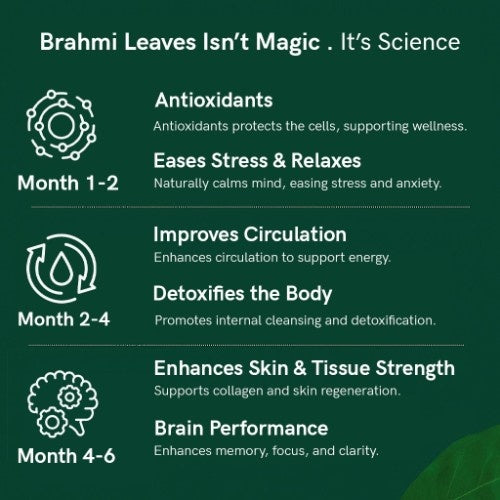 Teacurry Organic Himalayan Brahmi Leaves Benefits 