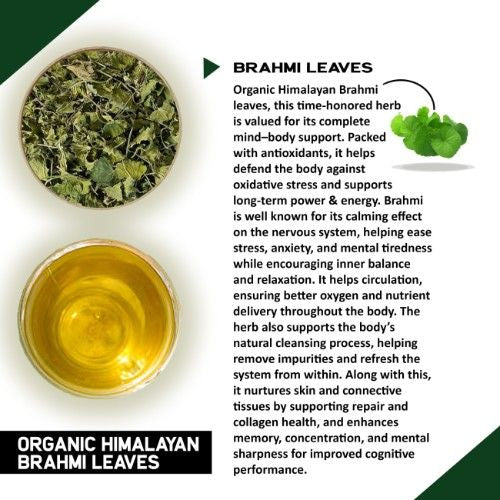 Teacurry Organic Himalayan Brahmi Leaves Benefits