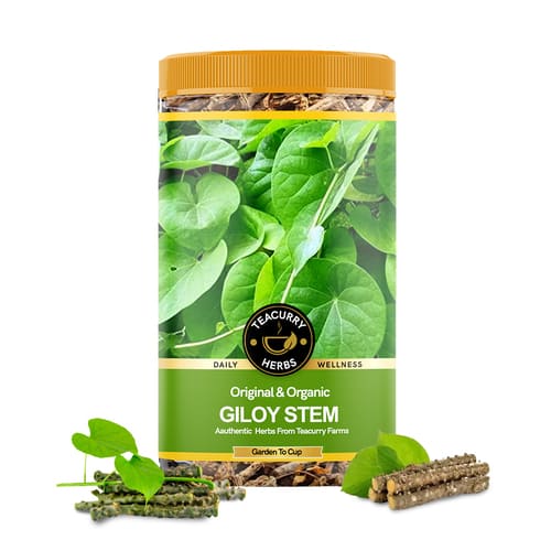 Teacurry Organic Giloy Stick Stem main Image