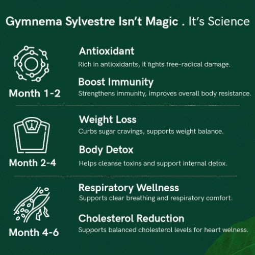 Organic Himalayan Gymnema Sylvestre Leaves Benefits 