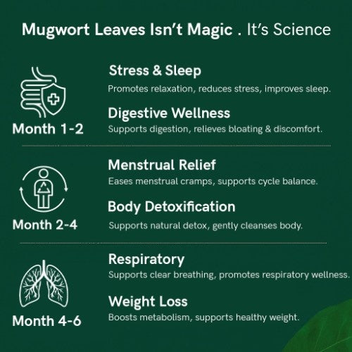 Organic Himalayan Mugwort Leaves Benefits 