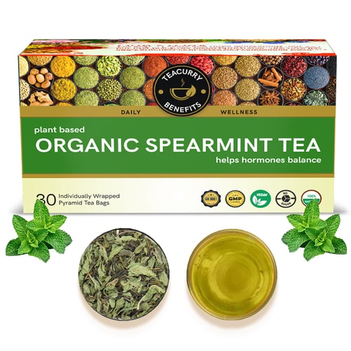 Teacurry Organic Spearmint Tea