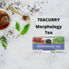 Teacurry - Video 