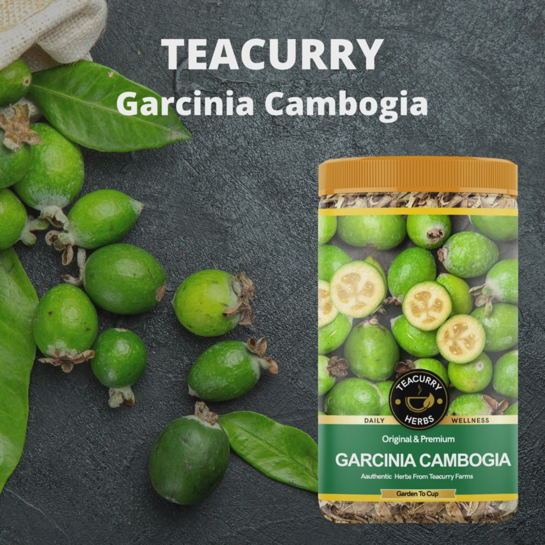 TEACURRY Garcinia Cambogia Fruit Video  - top organic garcinia cambogia - 