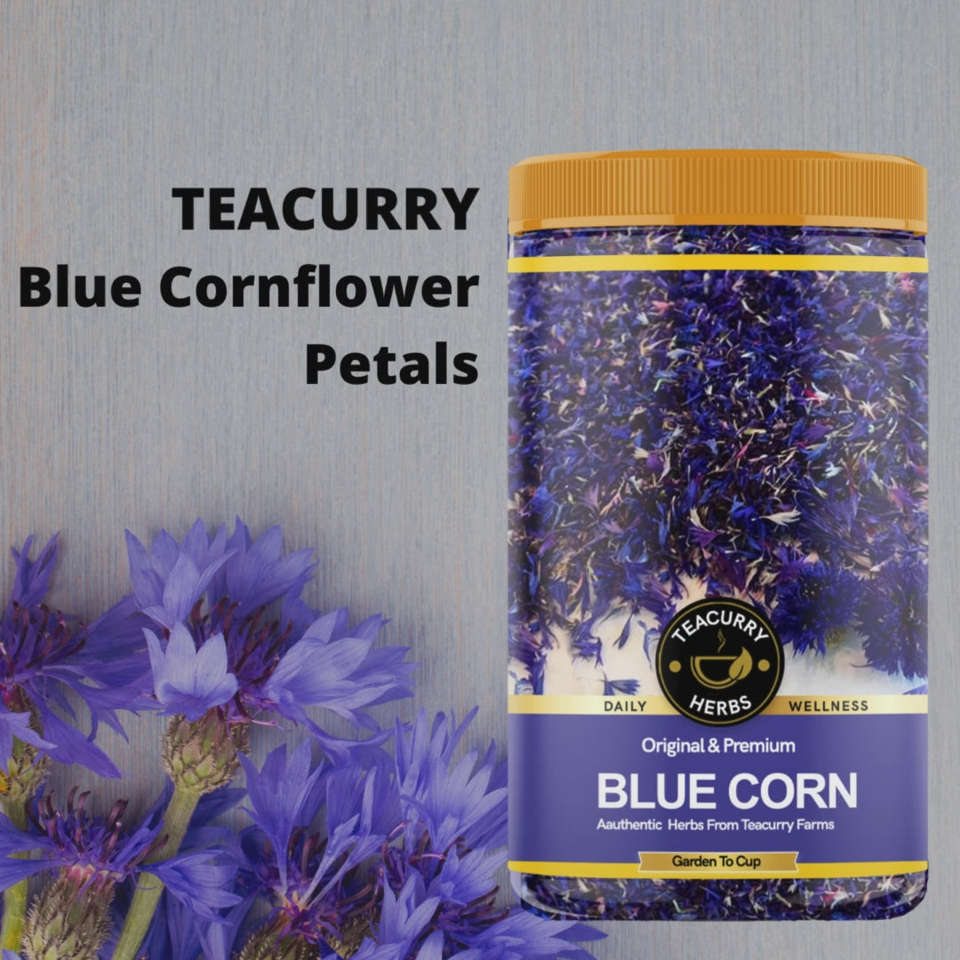 TEACURRY Blue Corn Flower Video - petals of cornflower - organic cornflower petals