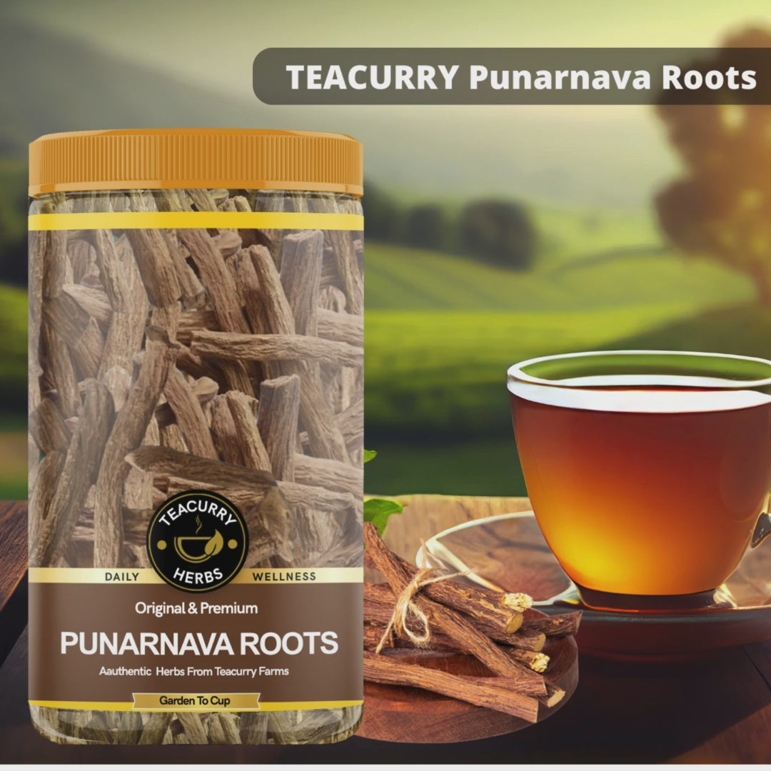 TEACURRY Teacurry  Punarnava Roots Video - punarnava roots benefits - boerhavia diffusa medicinal uses