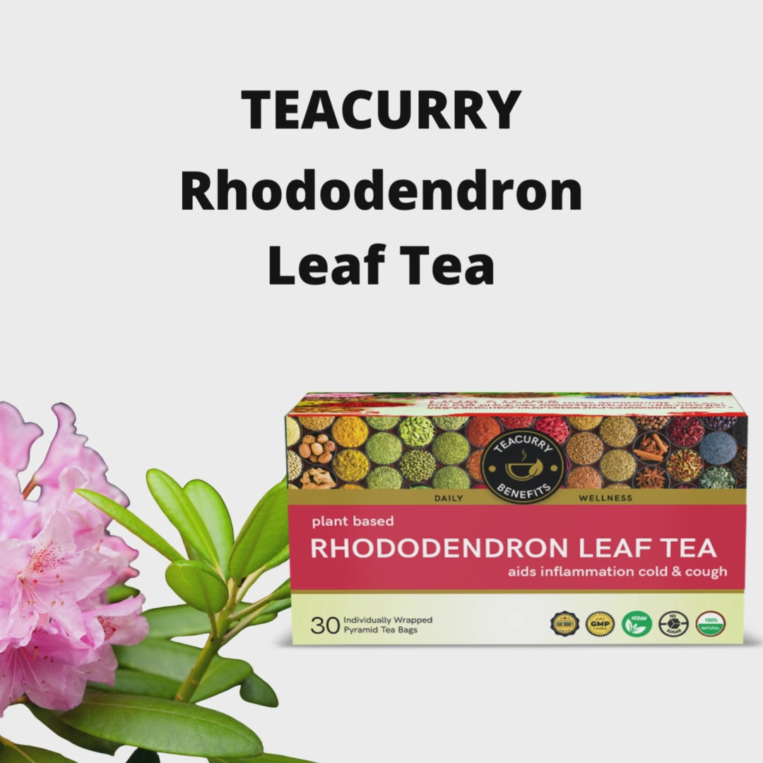  TEACURRY Rhododendron Leaf Tea Video