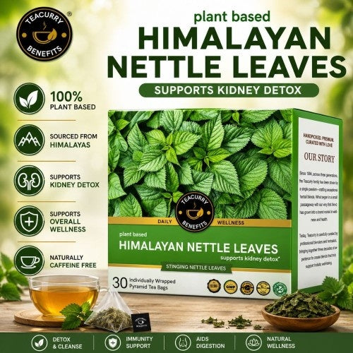 Teacurry Stinging Nettle Tea Video