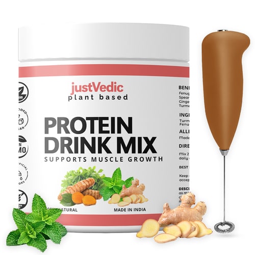 Justvedic Plant Based Protein Drink Mix - frother