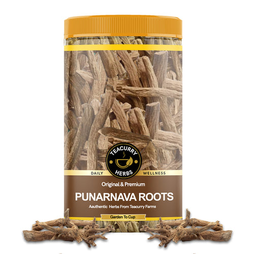 Teacurry - Punarnava Roots - punarnava root benefits- boerhaavia diffusa root extract