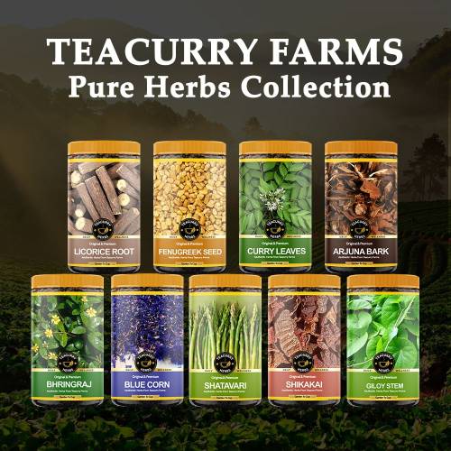 Teacurry Black Turmeric other herbs