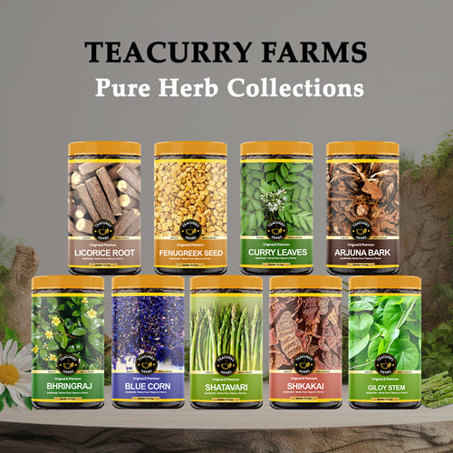 Teacurry Herbs Collections