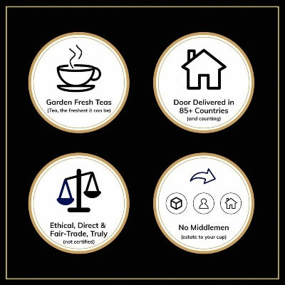 All Benefits of Moringa Tea Combo