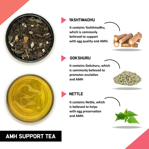 Teacurry AMH Support Tea Ingredients and Benefits - 