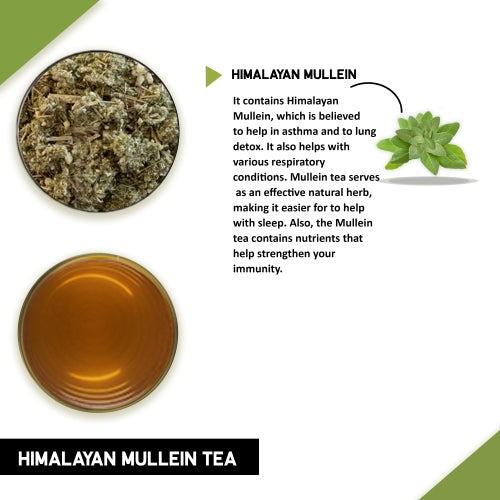 Benefits of Ingredients Himalayan Mullein Tea - tea with mullein